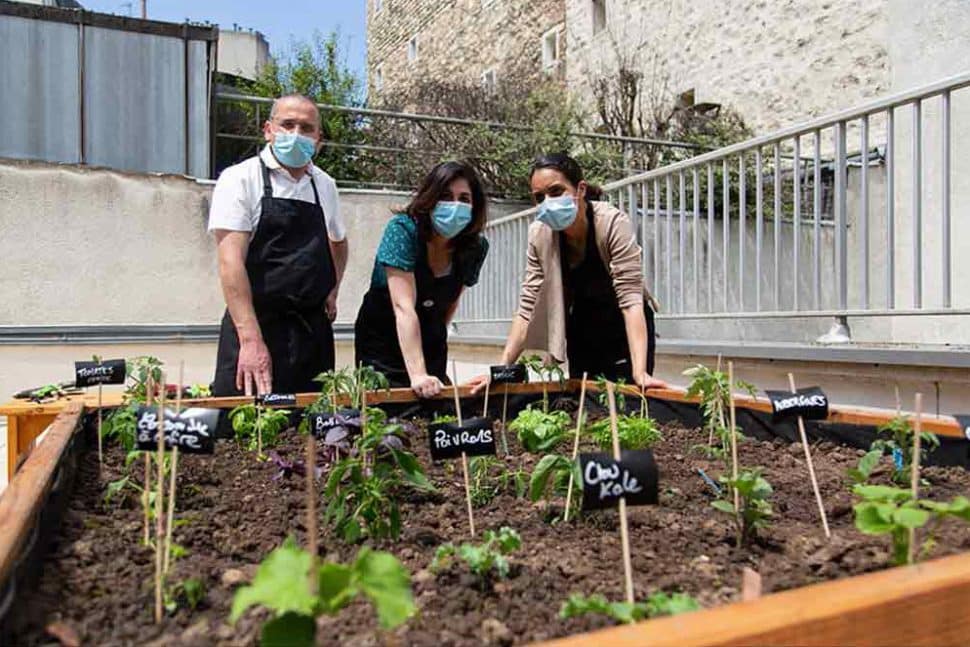 potager de l'agence Couronnes