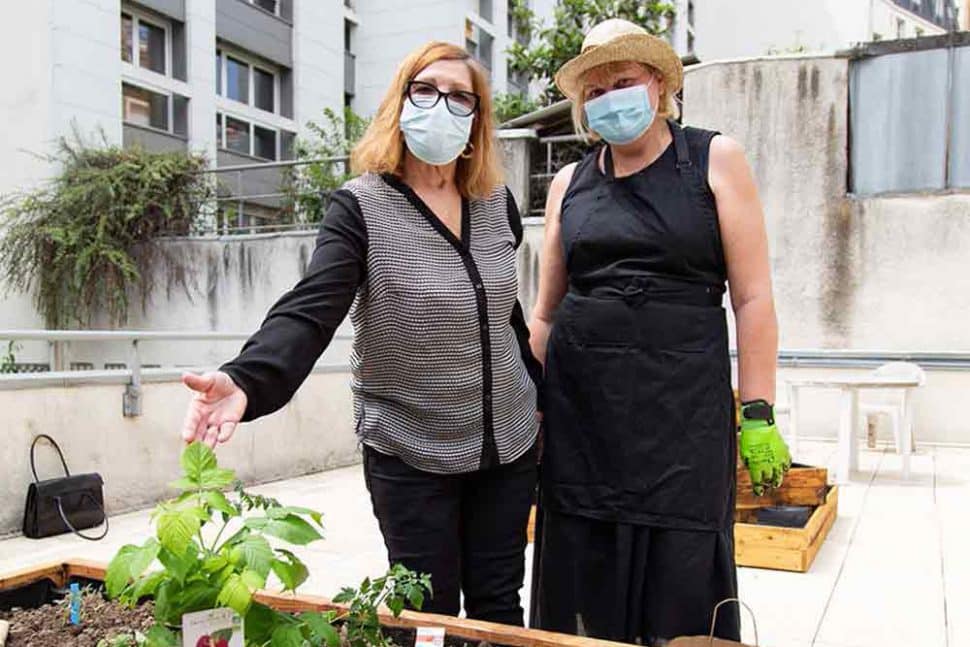 potager de l'agence Couronnes