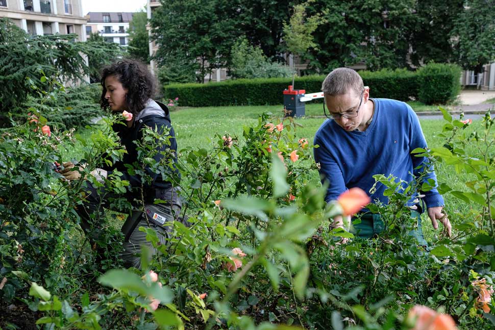 Les jardiniers travaillent dans les champs de Malakoff (92)