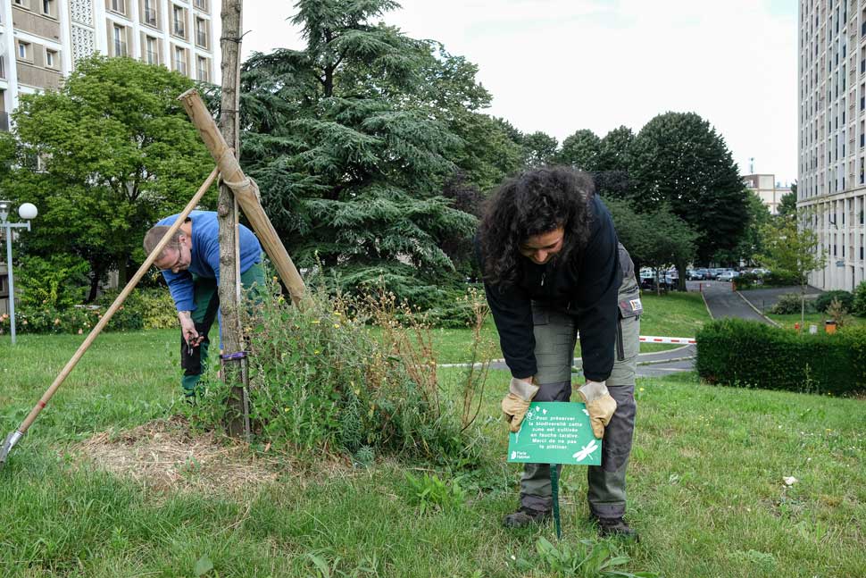 Les collaborateurs du service Espace Vert à la résidence Malakoff (92)