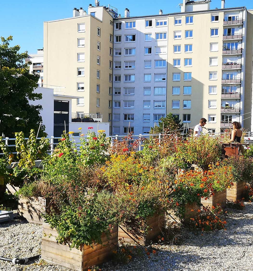 Fondation AgroParis Tech fondation paris habitat