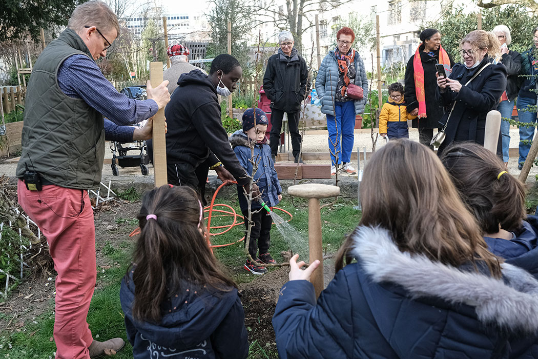 Plantation-locataires-un-arbre-dans-ma-résidence