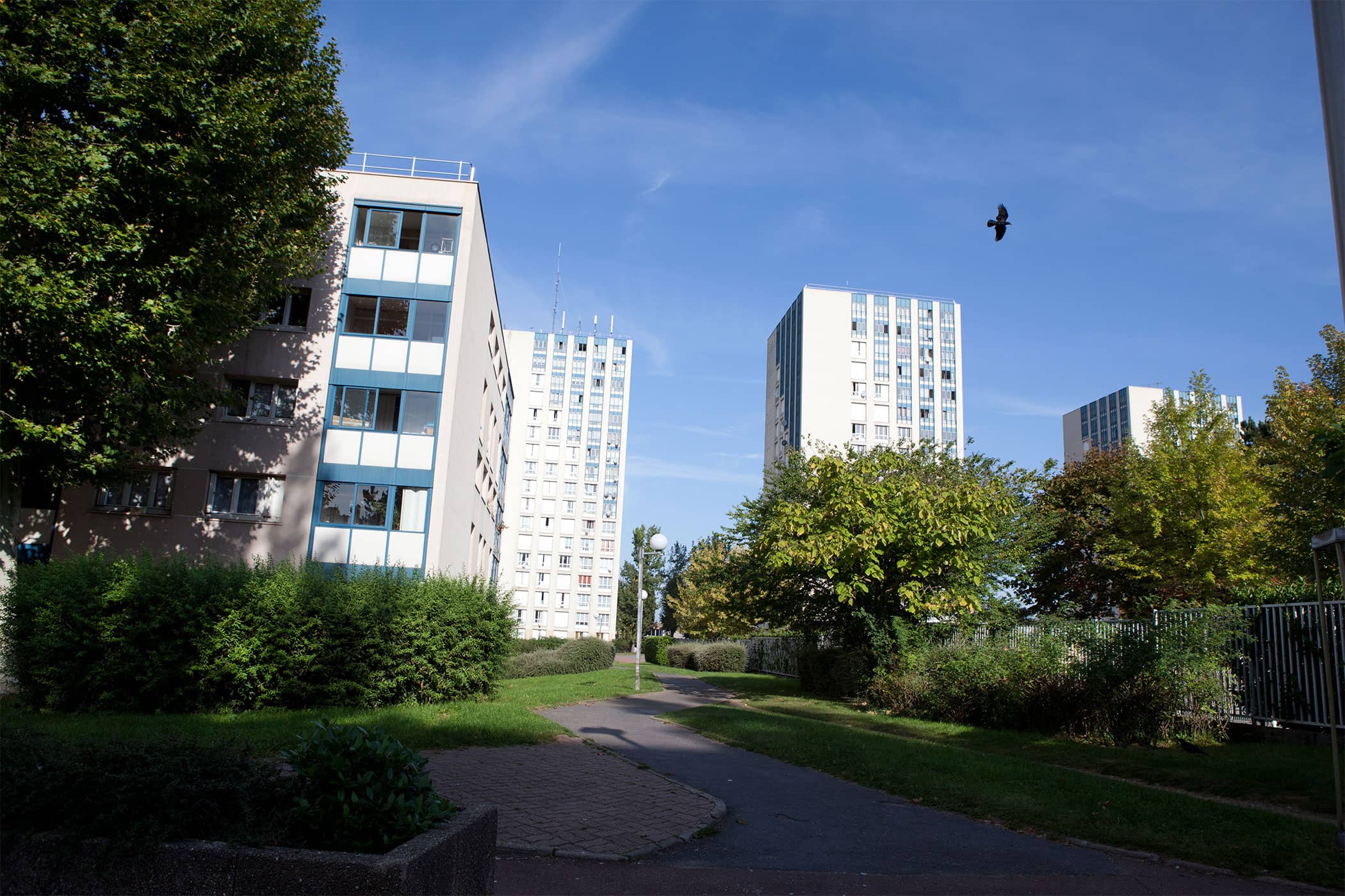 Bois-labbe-Champigny-sur-marne (1)