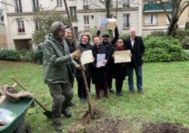 Une charte de l’arbre pour enraciner nos engagements