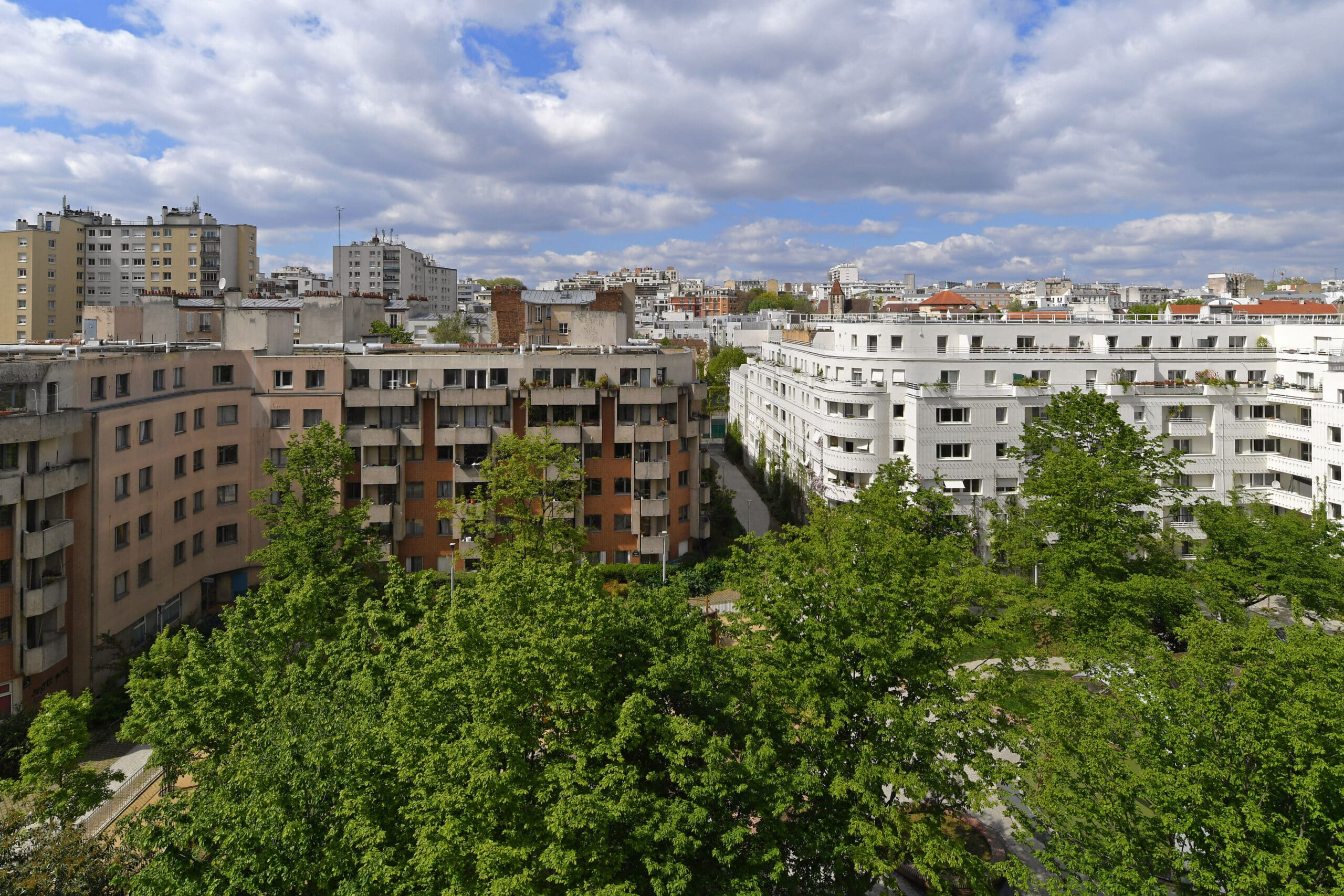 Salamandre Paris habitat 20eme 1 scaled