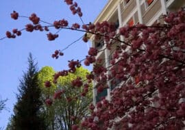 La régie au service des espaces verts !