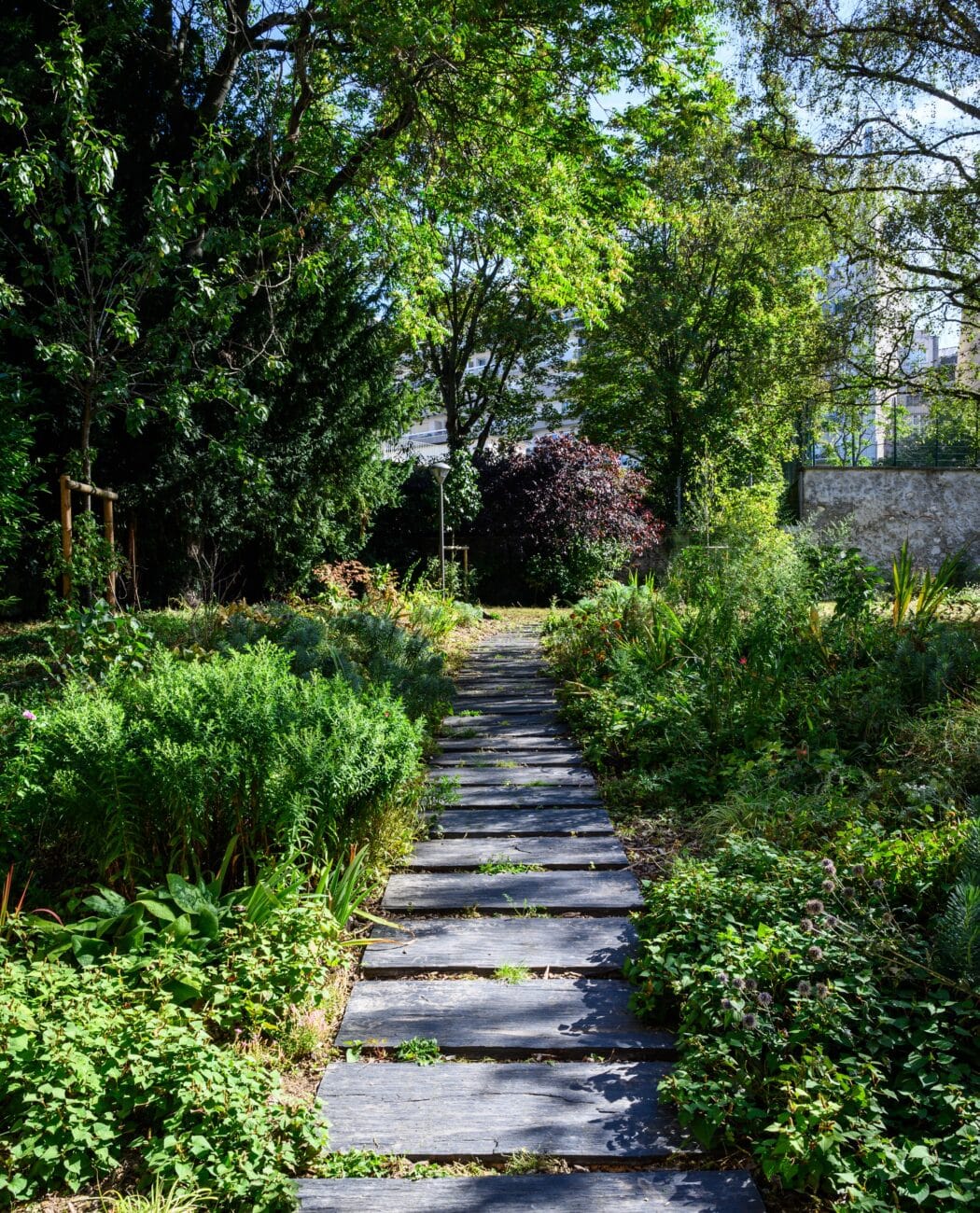 Objectif : confort d’été 1 14 rue Clavel Paris 19 Jardiniers Espaces verts 08 2024 Fabrice Gaboriau 58